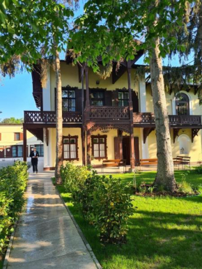 Villa Musik - Historical apartments in Baden